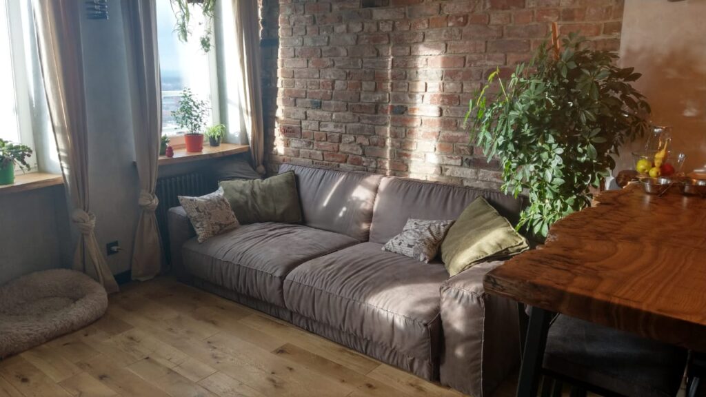 IMG 20201107 WA0001 1