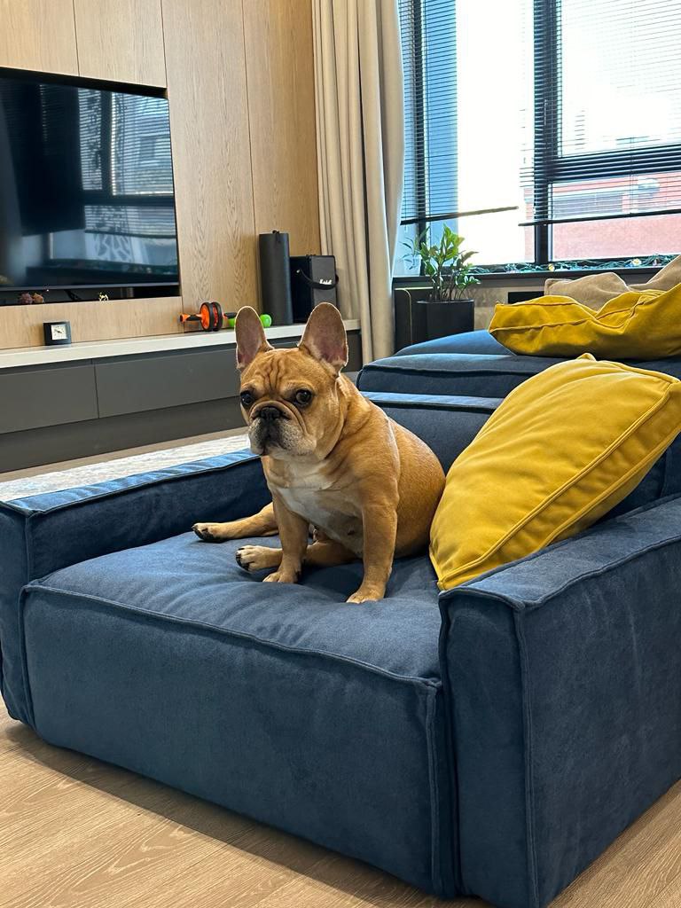 Photo 2024 07 25 18 57 22