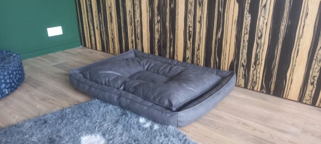 Photo 2024 07 25 18 58 12