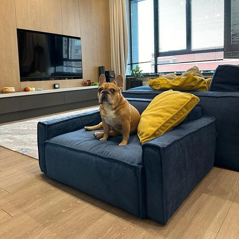 Мини-NORD для питомца